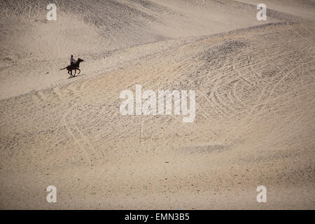 Pferde und Reiter in der Wüste neben den Pyramiden von Gizeh in Gizeh in der Nähe von Kairo, Ägypten, Afrika. Stockfoto