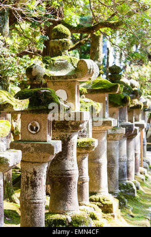 Japan, Nara, Kasuga Taisha Shrine. Zeile des Sockels, Steinlaternen, Ishi - Doro, mit ihren Oberseiten in Moos bedeckt, und die Bäume im Hintergrund. Stockfoto