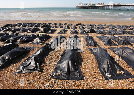 Brighton, UK. 22. April 2015. Aktivisten nehmen Teil an einer Demonstration organisiert von Amnesty Großbritanniens Antwort auf die rasant steigenden Flüchtlingskrise im Mittelmeer, an der Pier in Brighton zu markieren. 200 Schwarz Leichensäcke wurden aufgereiht am Strand und Anhänger wurden gezippt. Bildnachweis: Randi Sokoloff/Alamy Live-Nachrichten Stockfoto