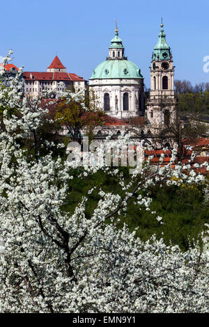 Blick vom Petrin-Hügel blühen, St.-Nikolaus-Kirche, Kleinseite, Prager Frühling, Tschechische Republik Stockfoto