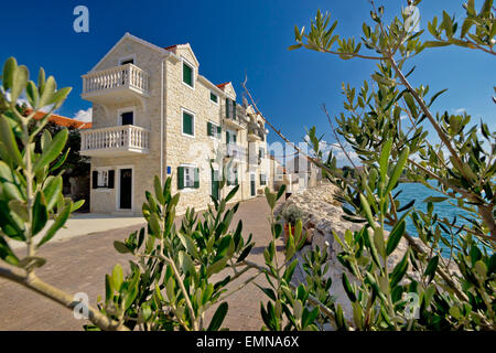 Bibinje Dorf Waterfront und Olivenbaum anzeigen, touristische Destination in Dalmatien, Kroatien Stockfoto