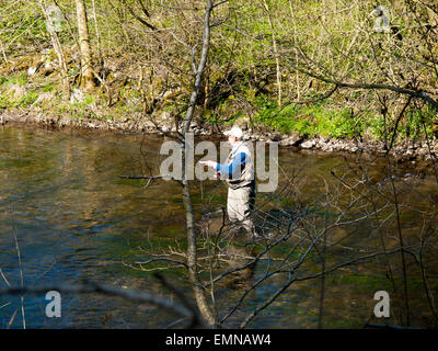 Fliegen Sie Fischer am Fluss Wye stromaufwärts von Ashford in Wasser, Peak District, Derbyshire, England, Großbritannien. Stockfoto