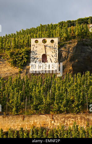 Zeltinger Sonnenuhr Sonnenuhr in Zeltingen Weinbergen, Moseltal, Rheinland-Pfalz, Deutschland bei Sonnenuntergang Stockfoto