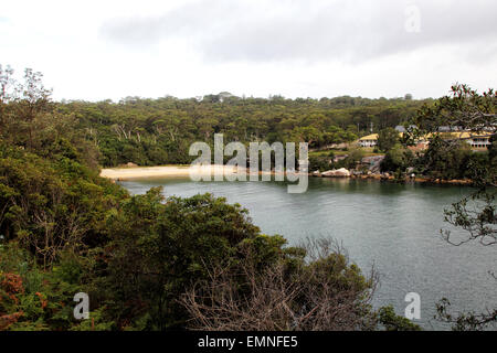 Blick über Spring Cove und Collins Beach in Manly, Sydney, Australien. Stockfoto