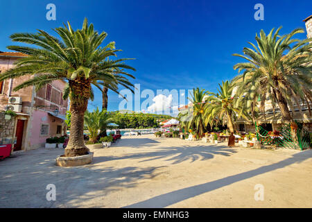 Starigrad auf Hvar Insel Palm Waterfront, Dalmatien, Kroatien Stockfoto