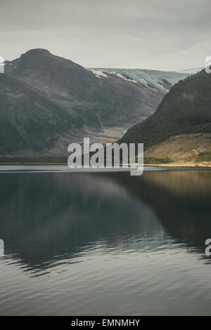 Svartissen Gletscher Nordmeer Norwegen Stockfoto