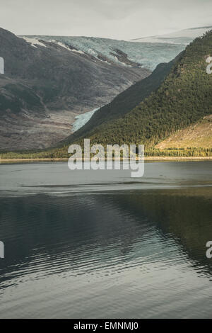 Svartissen Gletscher Nordmeer Norwegen Stockfoto