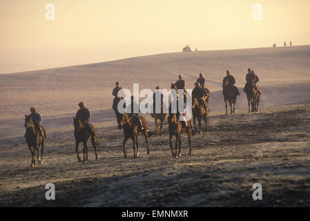 Morgengalopps Middleham Low Moor, North Yorkshire. Pferderennindustrie, die die Pferde ausübte England um die 1995 1990er Jahre Großbritannien. HOMER SYKES Stockfoto