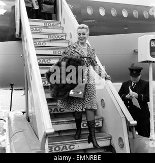 Schauspielerin Zsa Zsa Gabor kommt am Flughafen London Heathrow aus New York Freitag, 20. September 1968. Sie war erfüllt von ihrer Tochter Constance Hilton aka Francesca Hilton & mit einem goldenen Spaniel Welpen namens "Paul McCartney". Stockfoto