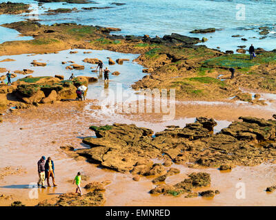 Blick nach unten auf den Strand bei Sidmouth ein beliebter Ferienort an der Jurassic Coast in South Devon England UK Stockfoto