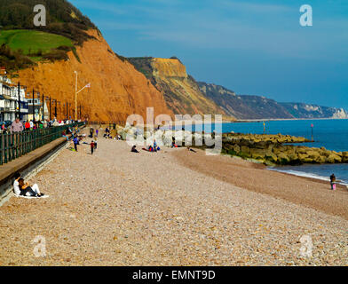 Blick nach Osten entlang des Strandes bei Sidmouth South Devon England UK mit der roten Sandsteinfelsen der Jurassic Coast jenseits Stockfoto