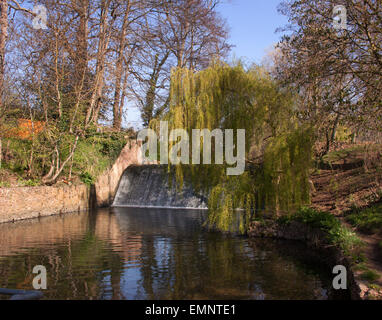 Ein Wehr am Fluss fließt durch die Byes Sid, ein Riverside park, in Sidmouth, Devon. Stockfoto