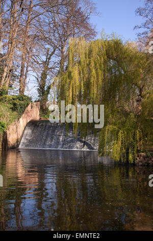 Ein Wehr am Fluss fließt durch die Byes Sid, ein Riverside park, in Sidmouth, Devon. Stockfoto