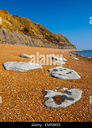 Blick, Blick nach Osten auf den Kiesstrand am einladendsten an der Jurassic Coast in West Dorset England UK Stockfoto