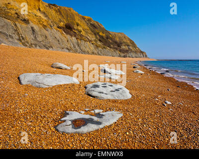 Blick, Blick nach Osten auf den Kiesstrand am einladendsten an der Jurassic Coast in West Dorset England UK Stockfoto