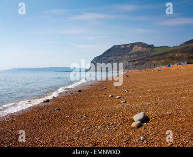 Blick, Blick nach Westen in Richtung Gipfel des Golden Cap vom Strand am einladendsten an der Jurassic Coast in West Dorset England UK Stockfoto