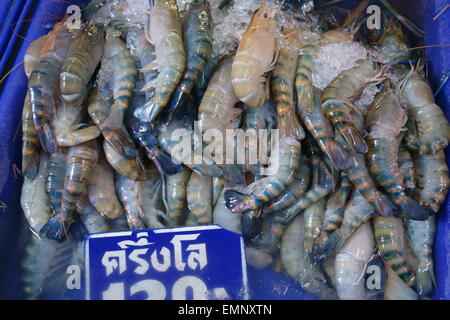 Riesengarnelen aus dem Fluss auf einem frischen Stall in einen Lebensmittelmarkt Bangkok, Thailand Stockfoto