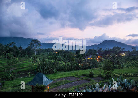 Querformat in Sideman, Bali Stockfoto