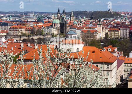 Panorama von Prag, Blick vom Petrin-Hügel blühen, UNESCO-Stadt Tschechien Stockfoto