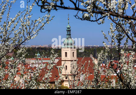 Kirche der siegreichen Jungfrau Maria (Jesuskind) Ansicht von blühenden Petrin Hügel, Kleinseite, Prag, Tschechien Stockfoto