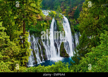 McArthur-Burney Falls in Nordkalifornien Stockfoto