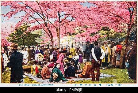 Kirschblüte anzeigen, Asukayama, Tokyo, Japan. Von Taisho bis frühen Showa Periode (vor dem 2. Weltkrieg). Stockfoto