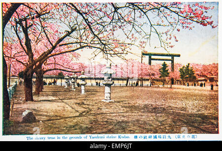 Kirschblüte anzeigen, Yasukuni-Schrein, Tokyo, Japan, in alten Tagen. Von Taisho bis frühen Showa Periode (vor dem 2. Weltkrieg). Stockfoto