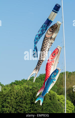 Fahnen wie japanische Koi Fisch (Karpfen) für Jungentag im Mai fliegen geformt. Stockfoto