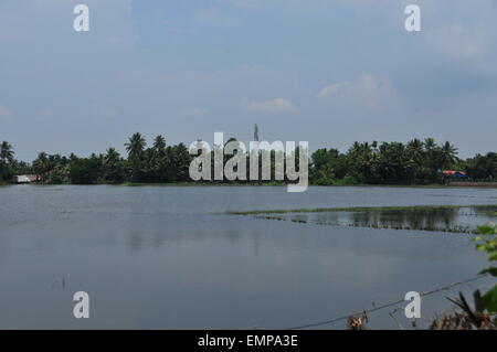 Schönheit der Rückstau und Kokospalmen. Stockfoto