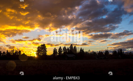 Ein Sonnenuntergang Landschaft mit Bäumen und Stromleitungen im Horizont. Starker Kontrast zwischen Indigo/gelbe Wolken und blauer Himmel. Stockfoto