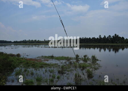 Wunderschöne Aussicht auf Nebengewässer und Kokospflanzen Stockfoto