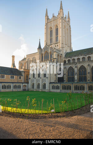 Bury St Edmunds Kathedrale, Blick auf den Refektorium Garten auf der Südseite von St. Edmundsbury (St. James) Kathedrale, Bury St. Edmunds, Suffolk, Großbritannien Stockfoto