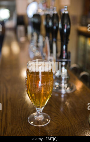 Ein Pint Lager auf einen Balken in einem pub Stockfoto