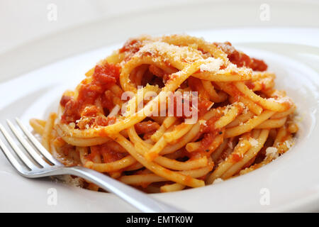 Bucatini Alla Amatriciana, italienische Tomaten-Sauce Nudeln Stockfoto