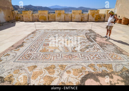 Mosaik Boden Darstellung eine Nereide reitet einen Stier im archäologischen Museum von Naxos, Kastro, Insel Naxos, Kykladen, Griechenland Stockfoto