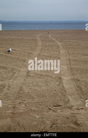 Reifenspuren im Sand am Strand von Coney Island am Atlantischen Ozean in Brooklyn, New York. Stockfoto