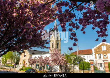 Meudon, Frankreich, Paris Vororten, Straße Scenics, Frühling, Kirschblüten in voller Blüte Stockfoto