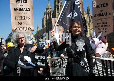 London, UK, 23. April 2015. Aktivisten sprechen wie Brian May ein Tierschutz Parlamentswahlen Laufwerk schaut auf. Ein Aktionstag unter anderem einen Marsch auf Parlament markiert den Start der Kampagne "Stimmen für Tiere" die Bedeutung der Fragen des Tierschutzes in den allgemeinen Wahlen.  Ziel der Kampagne ist, um die Öffentlichkeit auf ihre lokalen Kandidaten auf die Frage des Tierschutzes woran zu informieren und bei der Abstimmung berücksichtigt. Bildnachweis: Michael Kemp/Alamy Live-Nachrichten Stockfoto