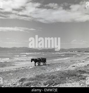 1950er Jahre historische Bild am Strand von Arenal Playa, Palma, Mallorca mit Pferd und Wagen geht um Algen zu sammeln. Stockfoto