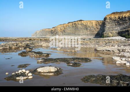 Schichten von Sedimentgestein bilden interessante Muster am Strand und in den Klippen am Kilve in Somerset, England, UK Stockfoto