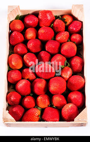 Erdbeere, frische Erdbeeren in der Holzbox in eine ökologische Natur gesunde Ernährung Obst wertvolle rot biodynamische schön und groß Stockfoto