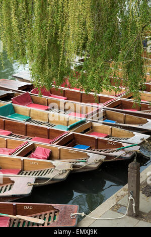 Leere Kähne zu mieten auf dem Fluss Cam in der Stadt Cambridge Stockfoto