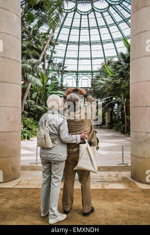 Touristen, die den Wintergarten / Wintergarten an der königlichen Gewächshäuser von Laeken im Park des königlichen Palastes, Belgien Stockfoto