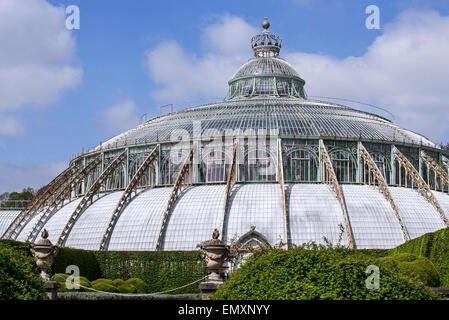 Kuppel des Jardin d ' Hiver / Wintergarten im Art Nouveau Stil, königlichen Gewächshäuser von Laeken, Park der Royal Palace, Belgien Stockfoto