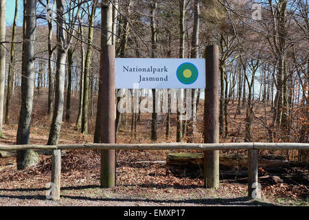 SASSNITZ, Deutschland - 3. April 2015: Buche Wald von Jasmund Nationalpark auf der Insel Rügen, Mecklenburg-Vorpommern, Deutschland Stockfoto