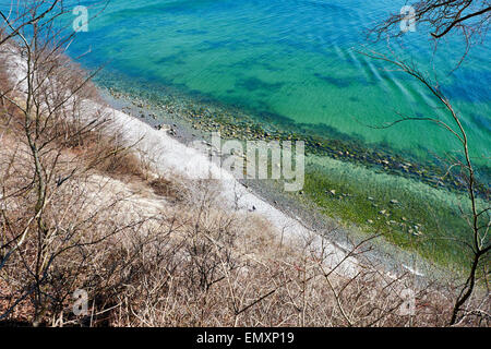 SASSNITZ, Deutschland - 3. April 2015: Buche Wald von Jasmund Nationalpark auf der Insel Rügen, Mecklenburg-Vorpommern, Deutschland Stockfoto