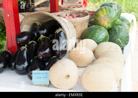 Bauernmarkt Melonen Stockfoto