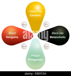Vier Temperamente - Sanguiniker, Choleriker, melancholisch und phlegmatisch- und die entsprechende Körpersäfte zwischen ihnen ihre Qualitäten. Stockfoto