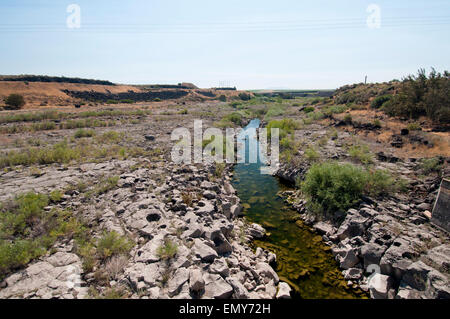 Snake River unterhalb des Milner Dam am Snake River in Süden-zentralem Idaho, die fast alle des Flusses zur Bewässerung lenkt Stockfoto