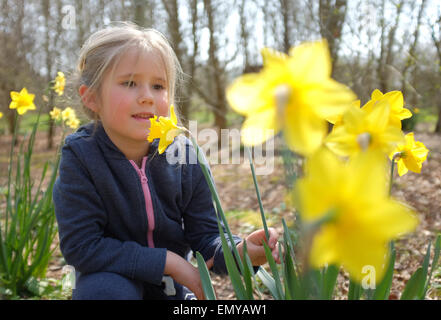 Junges Mädchen riechen Blumen Narzissen im Frühjahr Stockfoto